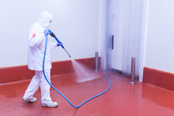 Best Boat and Dock Cleaning  in Killen, AL